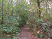Sendero de Trians. Boiro, La Corua